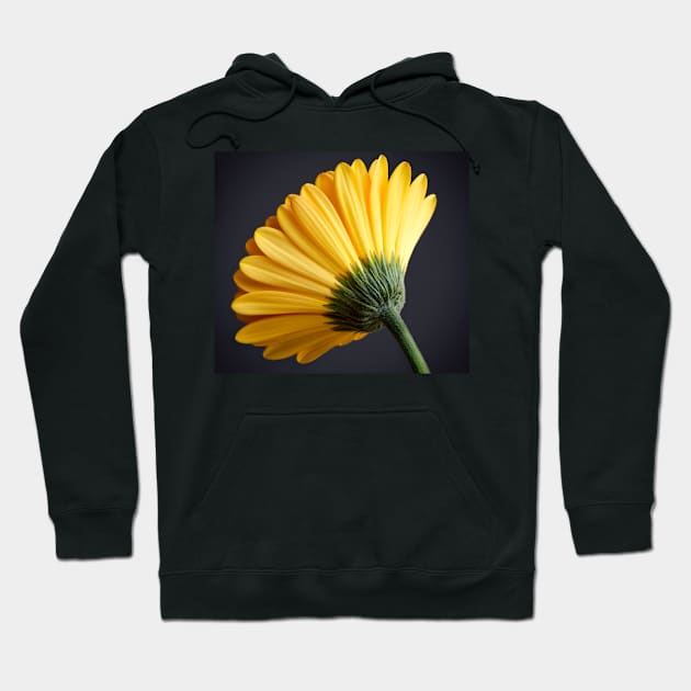 Orange Gerbera Flower Hoodie by adrianbrockwell